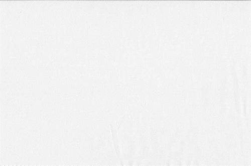 MAKOWER ESSENTIALS 302/W1 TINY DOT REINWEISS