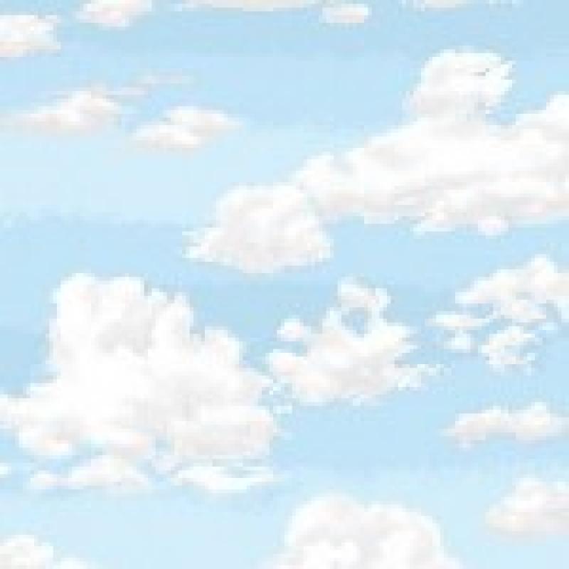 Landscape 1367-B2 Sky