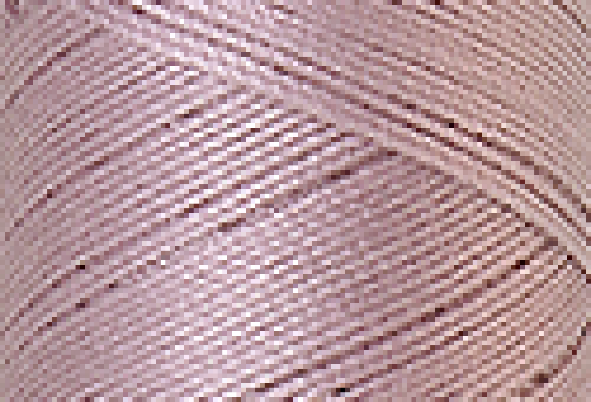 Mettler SFC40  1000m Desert 0035