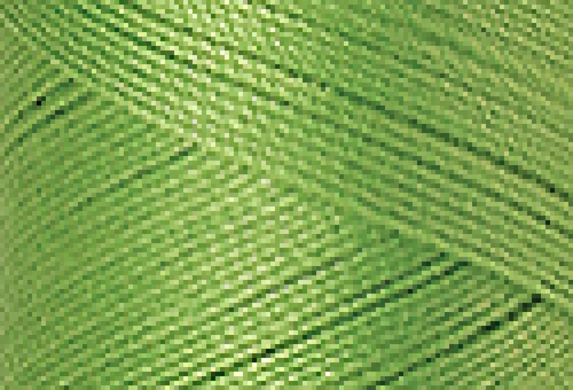 Mettler SFC40  1000m Bright Mint 0092