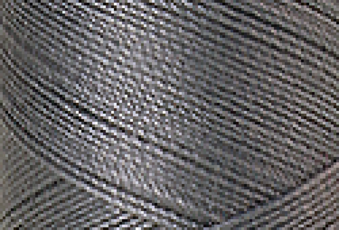 Mettler SFC40  1000m Flint Stone 0342
