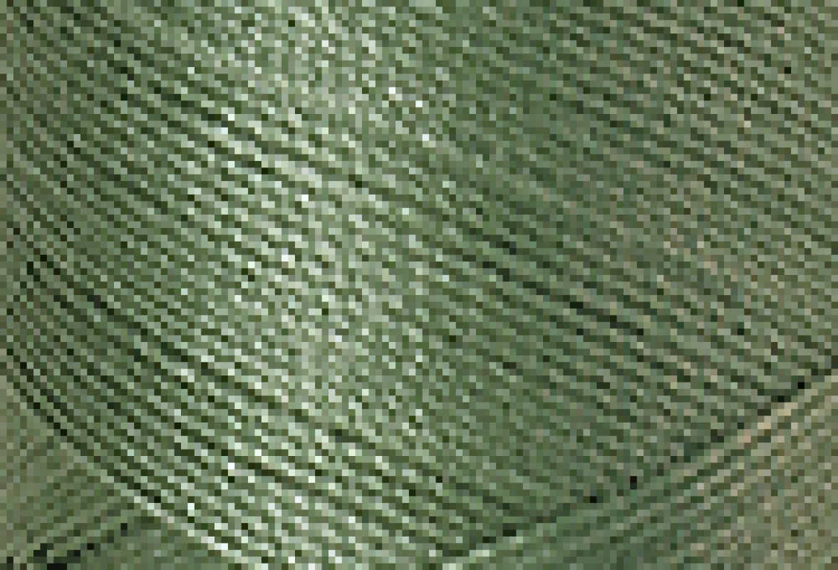 Mettler SFC40  1000m Palm Leaf 0646