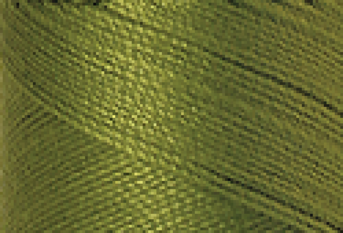 Mettler SFC40  1000m Moss Green 0882