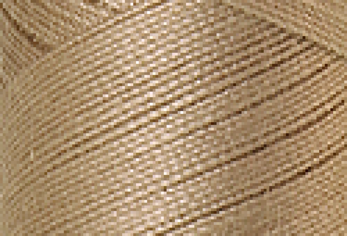 Mettler SFC40  1000m Sandstone 1222