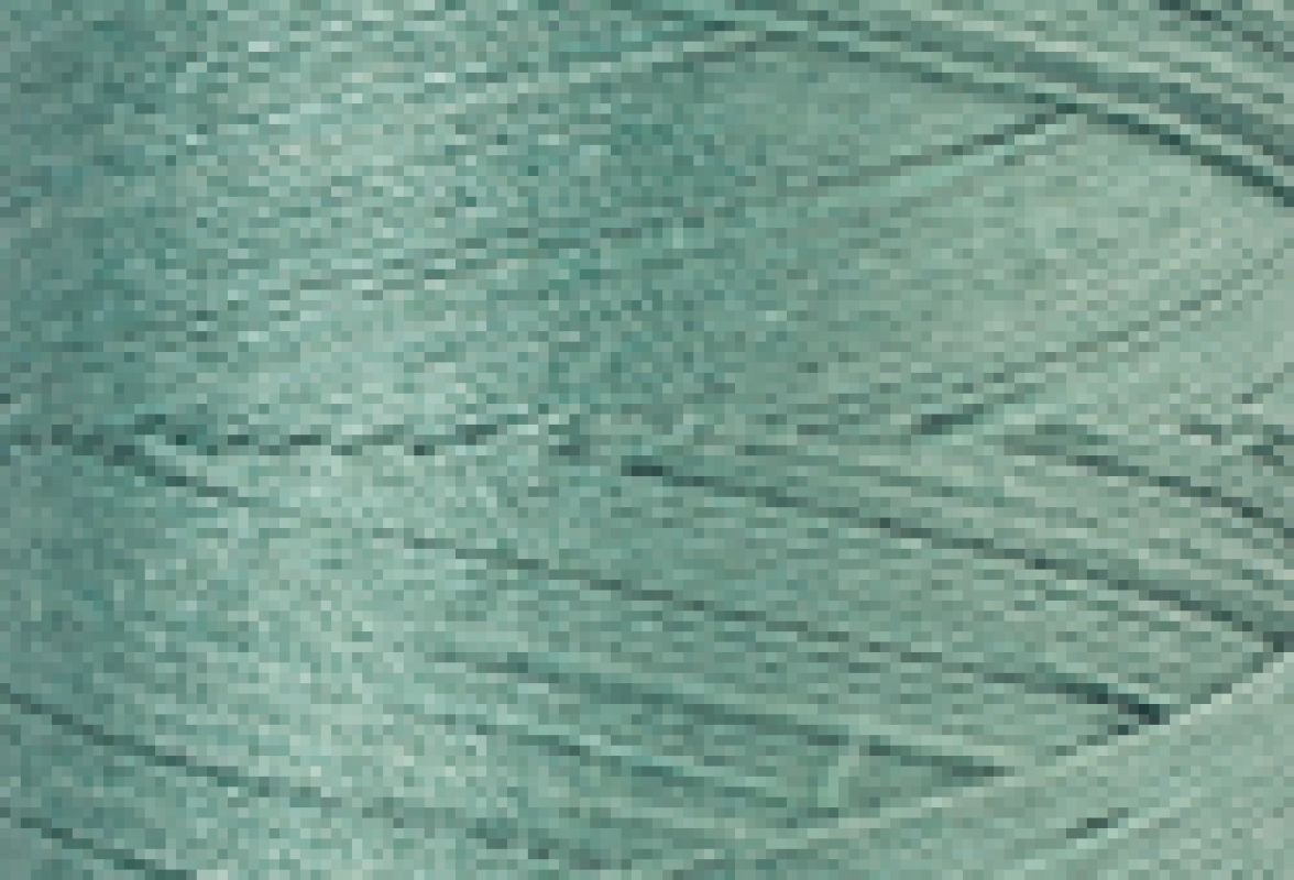 Mettler SFC40  1000m Eucalyptus 1510