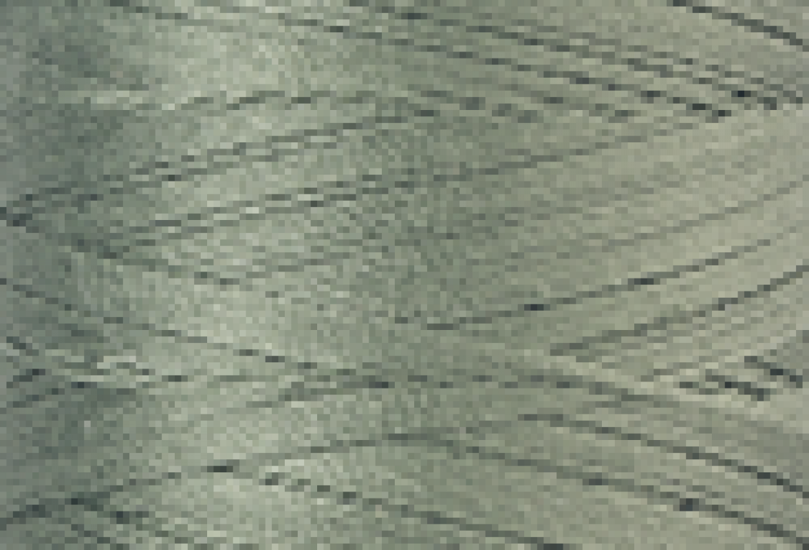 Mettler SFC40  1000m Rosemary 2329