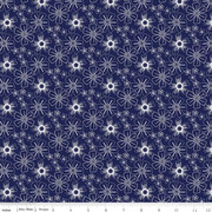 Riley Blake Designs by Christopher Thompson C10063-NAVY