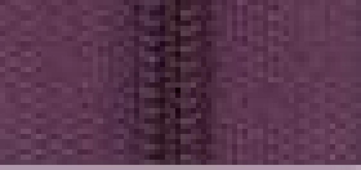 byannie Zipper/Reißverschluss 4yard/3,6m Eggplant 240