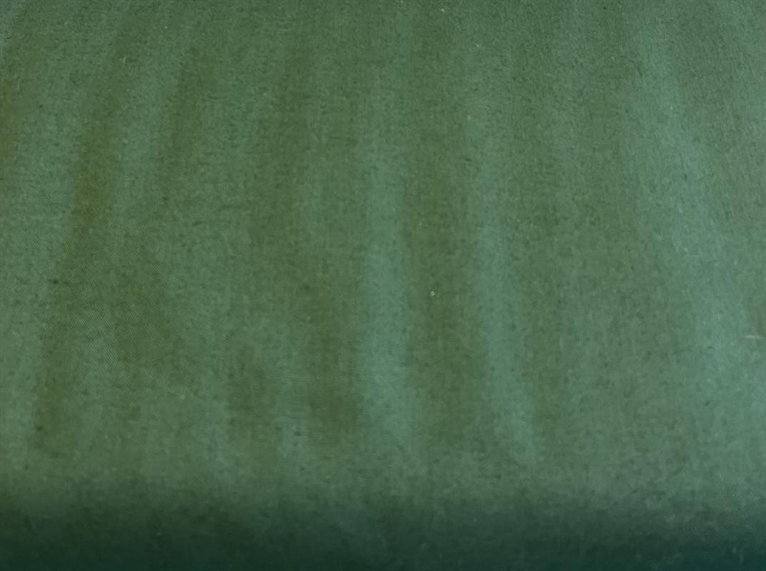 MARCUS Fabrics Centennial C835901 0656 waldgrün