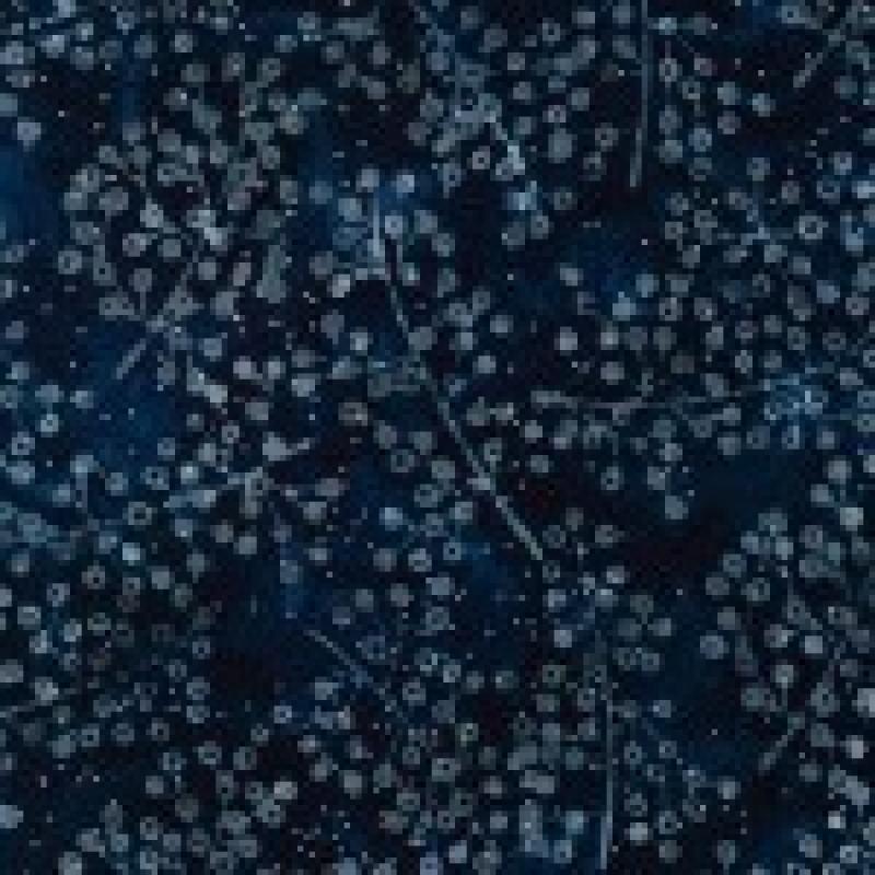 Artisan Batiks Magical Winter Brances Evenning Metallic Bati