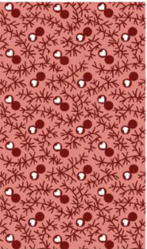 EQP New Vintage Sweat Heart Coral Pink NV 210201