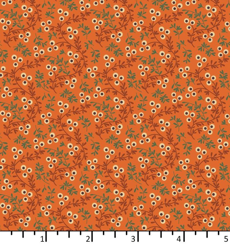 EQP Of Old and New 240402 Seaberry Carrot