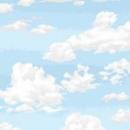 Landscape 1367-B2 Sky